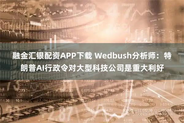 融金汇银配资APP下载 Wedbush分析师：特朗普AI行政令对大型科技公司是重大利好