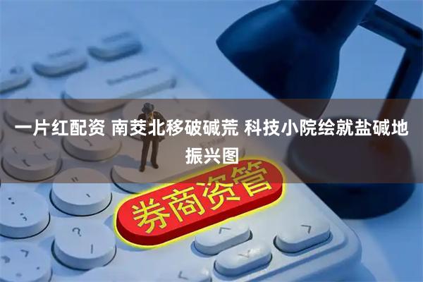 一片红配资 南茭北移破碱荒 科技小院绘就盐碱地振兴图